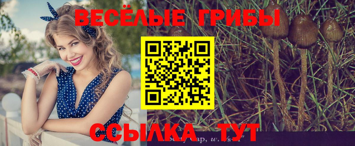 Псилоцибиновые грибы MAGIC MUSHROOMS Майкоп