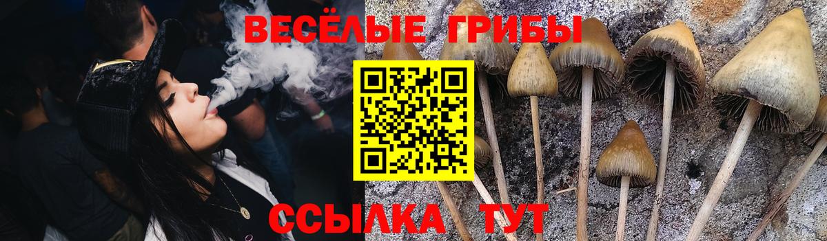 Галлюциногенные грибы GOLDEN TEACHER  Вход с VPN  Майкоп  Псилоцибиновые грибы Magic Shrooms 